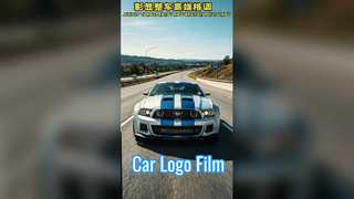 Film PET pour logo de voiture